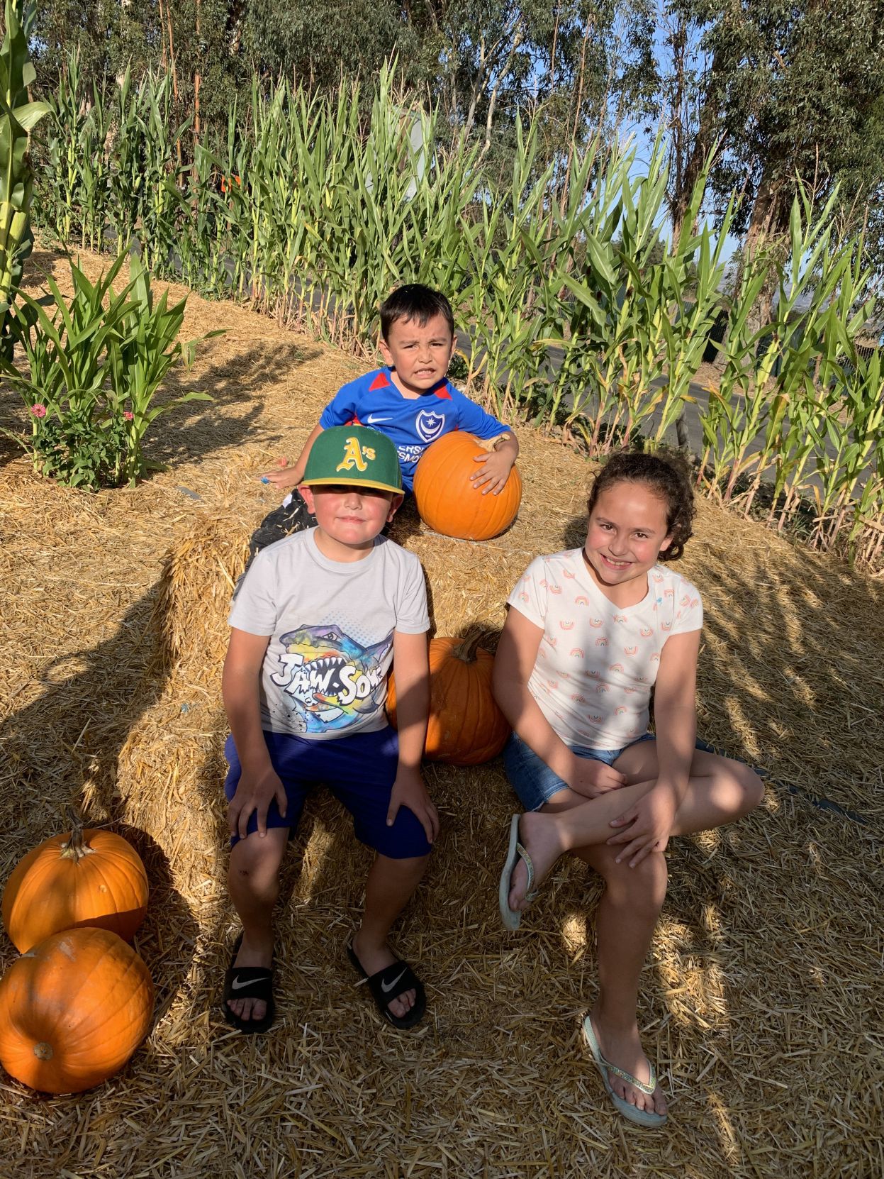 Picking Pumpkins 2019